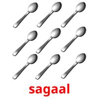 sagaal picture flashcards