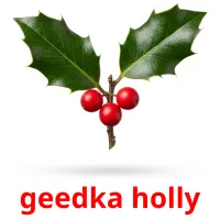 geedka holly Tarjetas didacticas