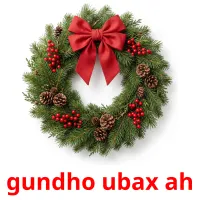 gundho ubax ah Tarjetas didacticas