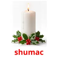 shumac Tarjetas didacticas