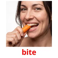 bite ansichtkaarten