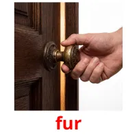 fur ansichtkaarten
