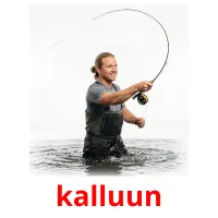 kalluun ansichtkaarten
