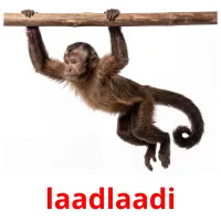 laadlaadi ansichtkaarten