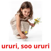 ururi, soo ururi ansichtkaarten