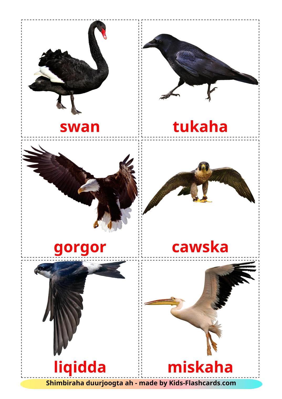 Ville fugler - 19 gratis utskrivbare bildekort på somali