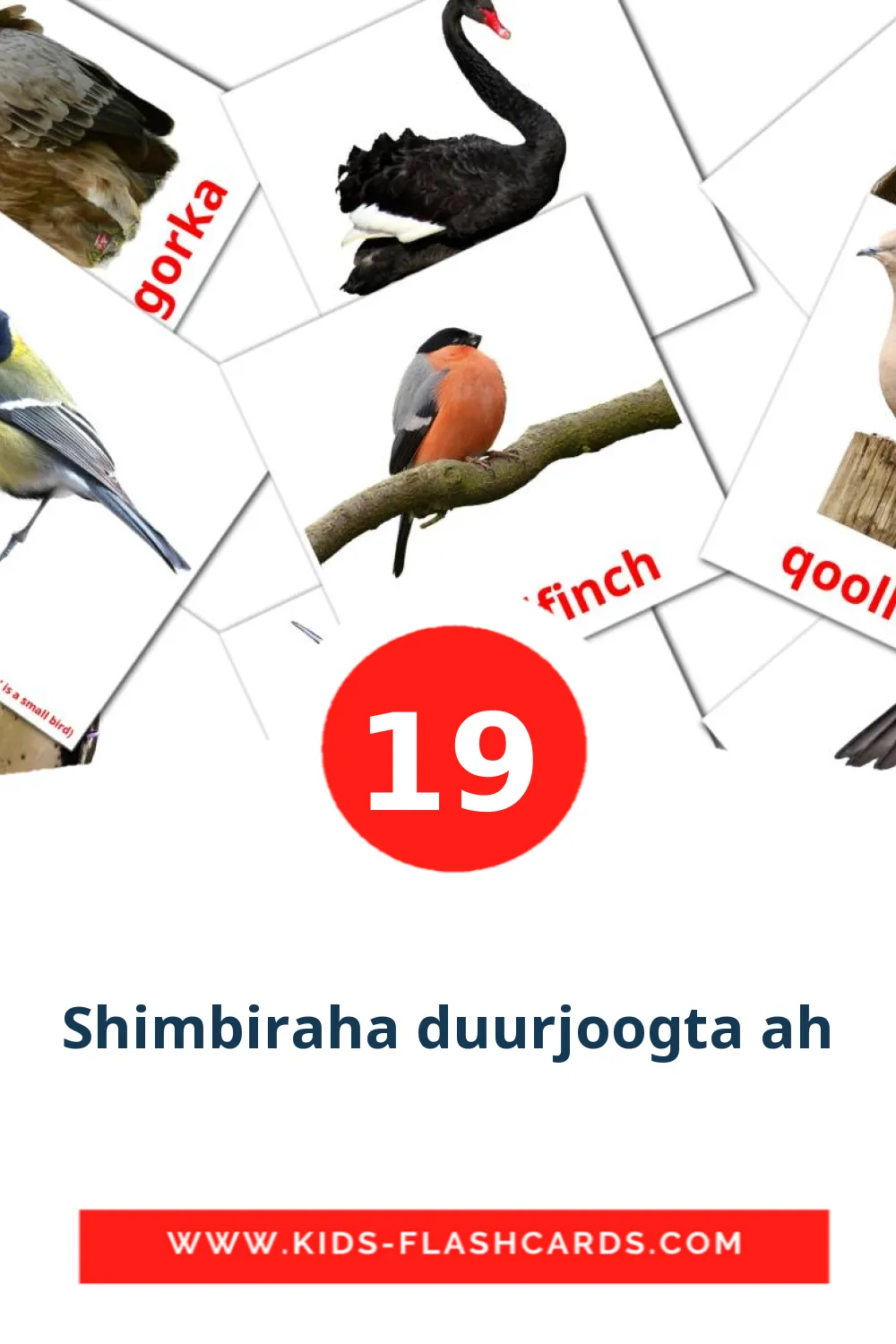 19 bildekort med Shimbiraha duurjoogta ah for barnehagen på somali