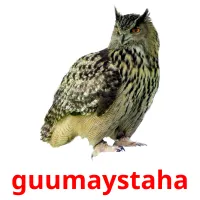 guumaystaha bildekort