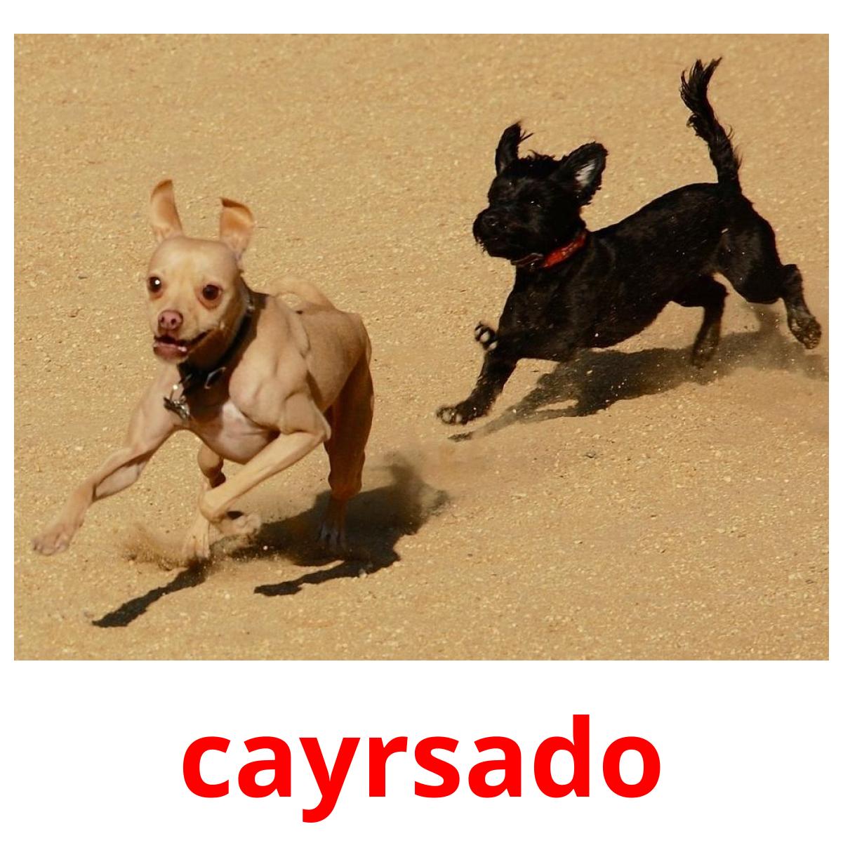 cayrsado flashcards illustrate