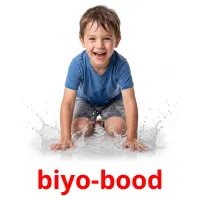biyo-bood Bildkarten für Kinder