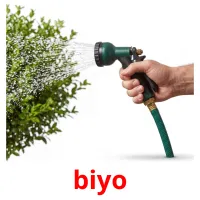biyo Bildkarten für Kinder