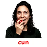 cun Bildkarten für Kinder