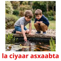 la ciyaar asxaabta Bildkarten für Kinder