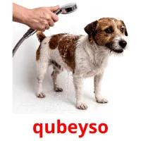qubeyso Bildkarten für Kinder