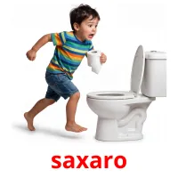saxaro Bildkarten für Kinder