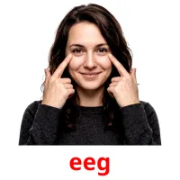 eeg flashcards illustrate