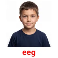 eeg flashcards illustrate