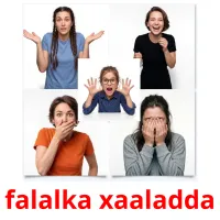 falalka xaaladda flashcards illustrate
