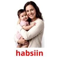 habsiin flashcards illustrate