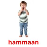 hammaan flashcards illustrate