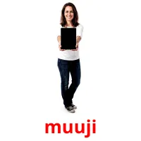 muuji flashcards illustrate