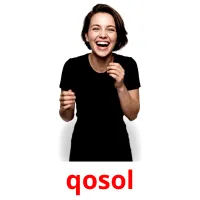 qosol flashcards illustrate