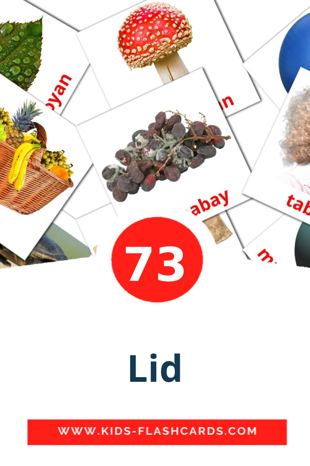 73 Cartões com Imagens de Lid para Jardim de Infância em somali