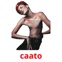 caato cartões com imagens