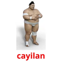 cayilan cartões com imagens