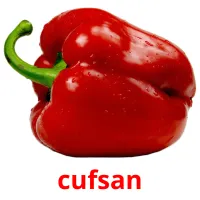 cufsan cartões com imagens