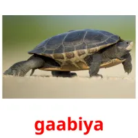 gaabiya cartões com imagens