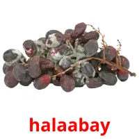 halaabay cartões com imagens
