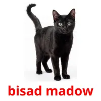 bisad madow kuvakortit
