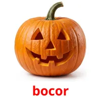 bocor kuvakortit
