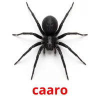 caaro kuvakortit