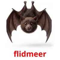 flidmeer kuvakortit