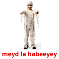 meyd la habeeyey kuvakortit