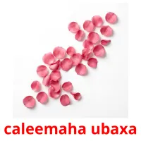 caleemaha ubaxa flashcards illustrate