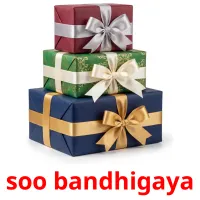 soo bandhigaya flashcards illustrate
