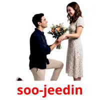 soo-jeedin flashcards illustrate