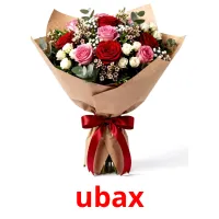 ubax flashcards illustrate