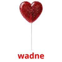 wadne flashcards illustrate