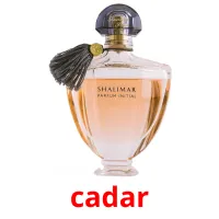 cadar Tarjetas didacticas