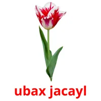 ubax jacayl Tarjetas didacticas