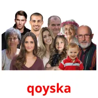 qoyska kuvakortit