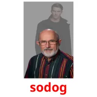 sodog kuvakortit