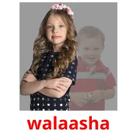 walaasha kuvakortit