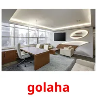 golaha cartes de vocabulaire