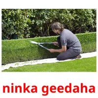 ninka geedaha billedkort for børn med billeder