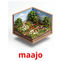 maajo Bildkarten für Kinder